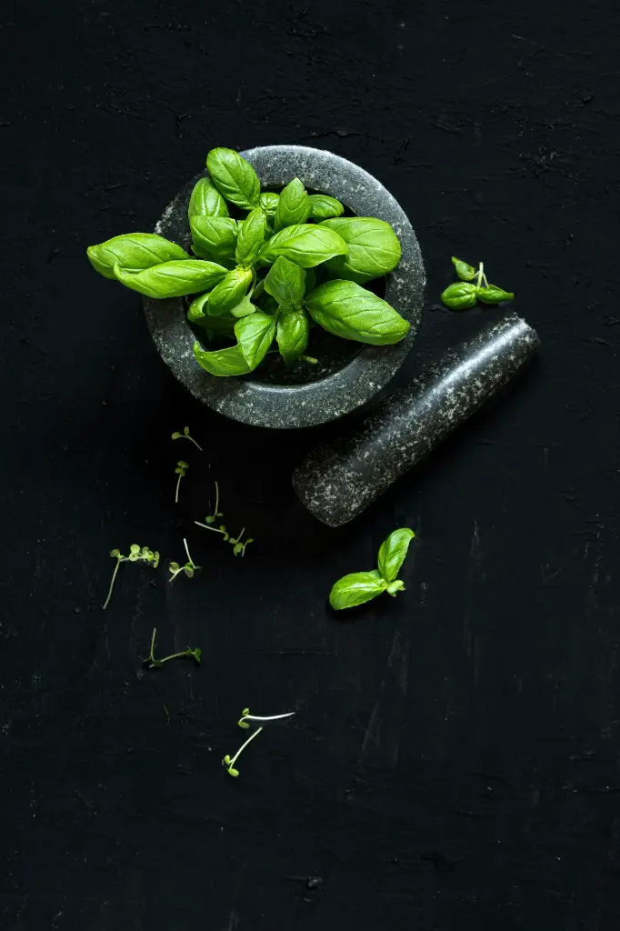 unsplash_S5UaZz42bZY_basilicum.jpg.webp